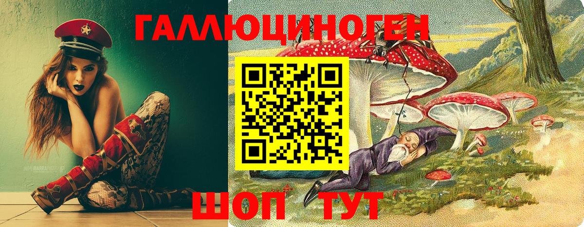 Псилоцибиновые грибы MAGIC MUSHROOMS  Вход с VPN  Рубцовск 
